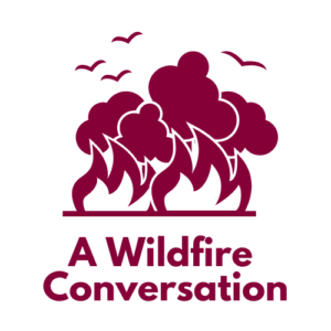 A Wildfire icon